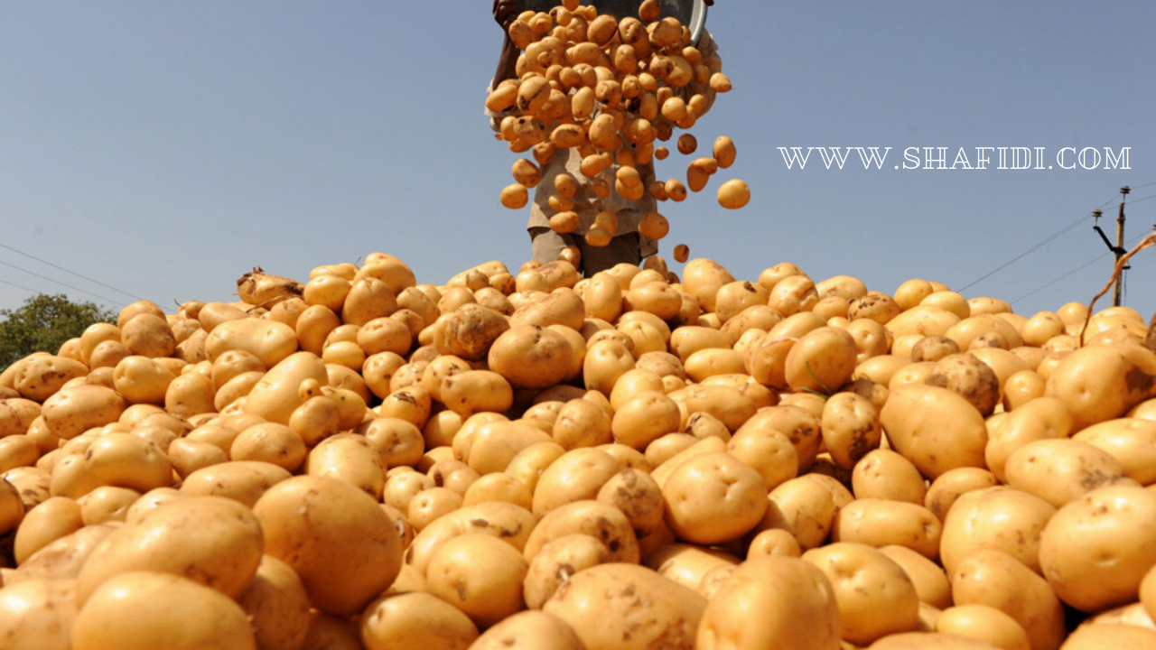 SBJEI-FRESH GRANOLA POTATO